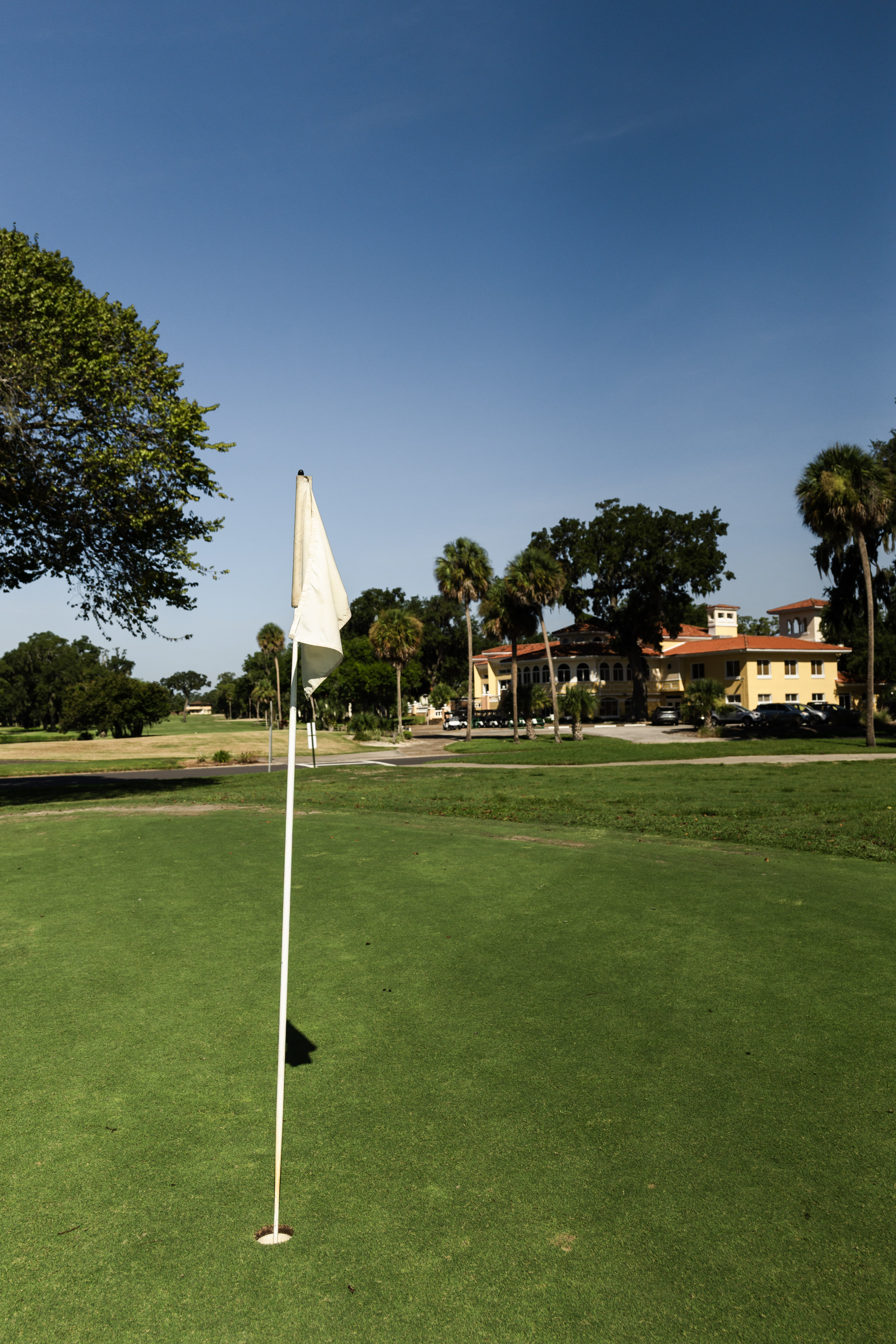 Golf Course green, white Flag