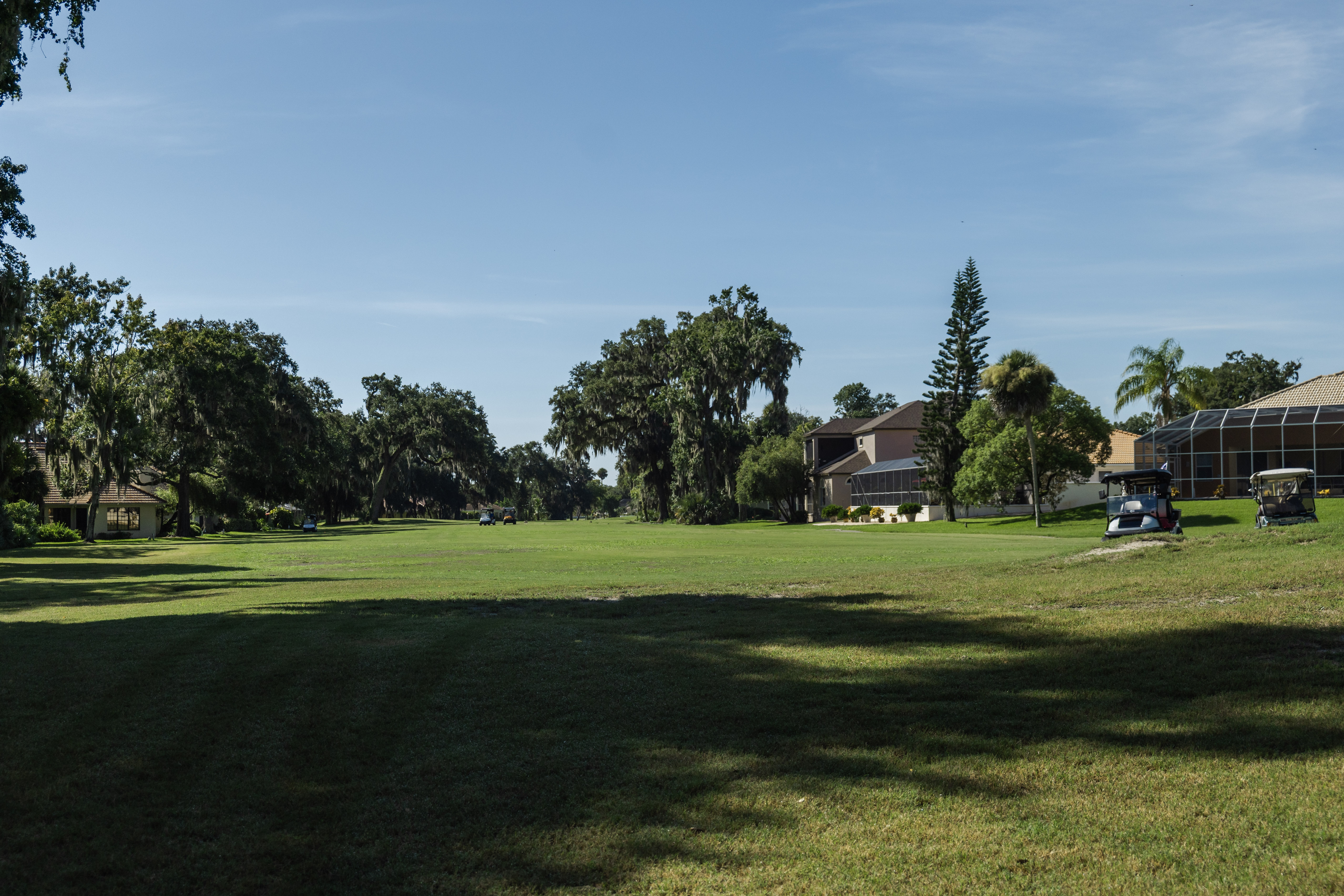 Golf Course Green, Golf Cars and Houses