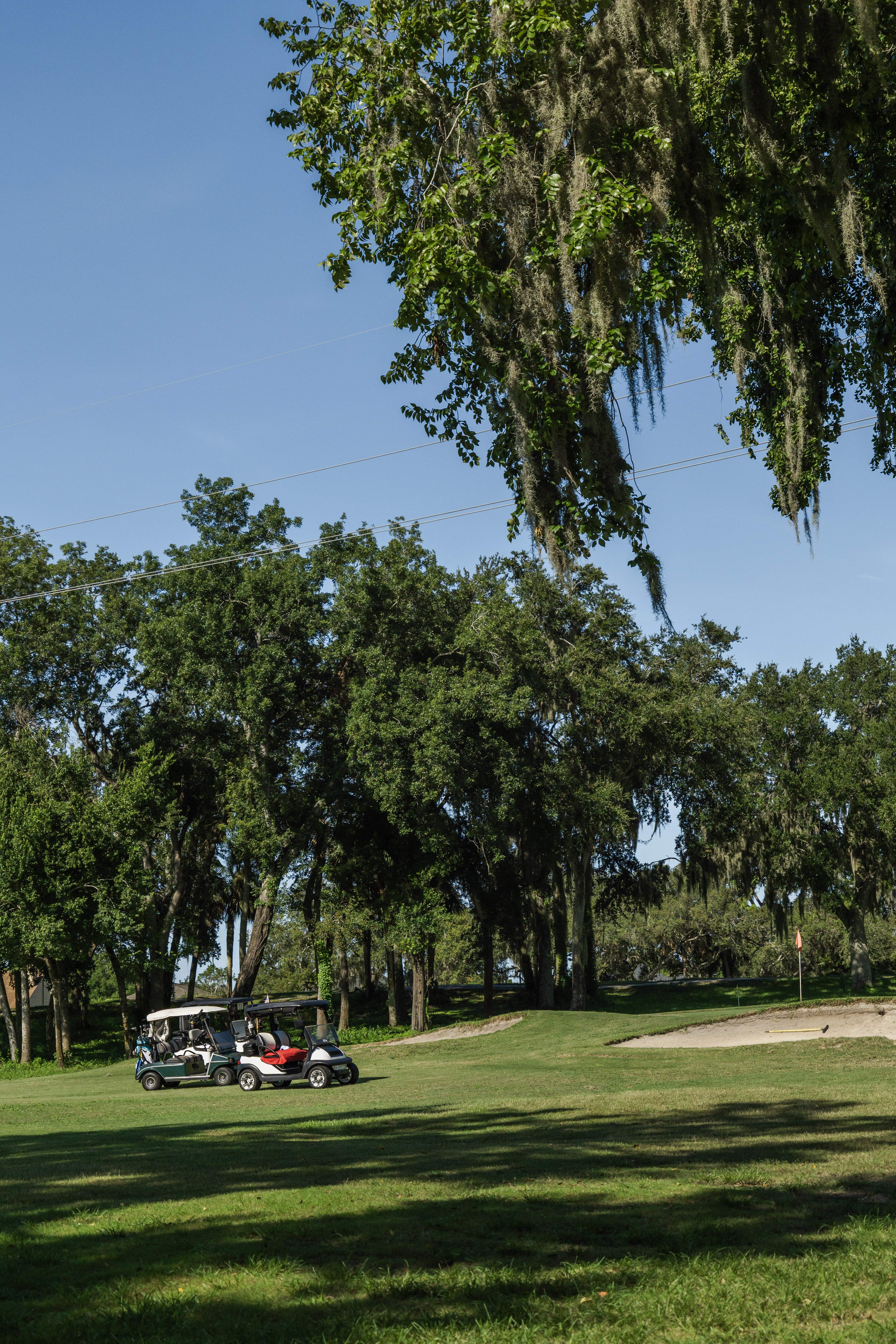 Golf cars on the course