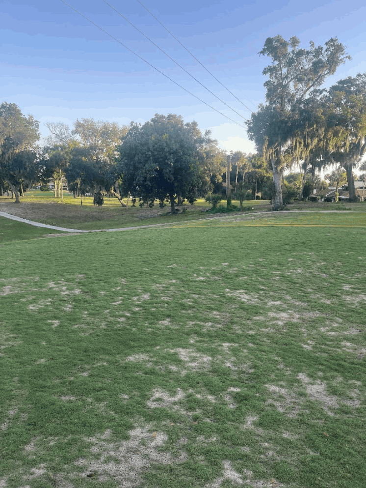 Course Renovation Progress - july-13