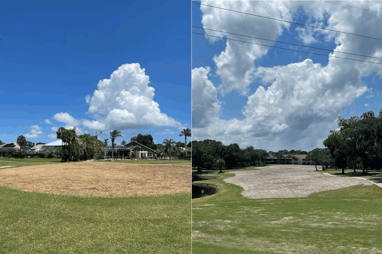 Course Renovation Progress - july-13