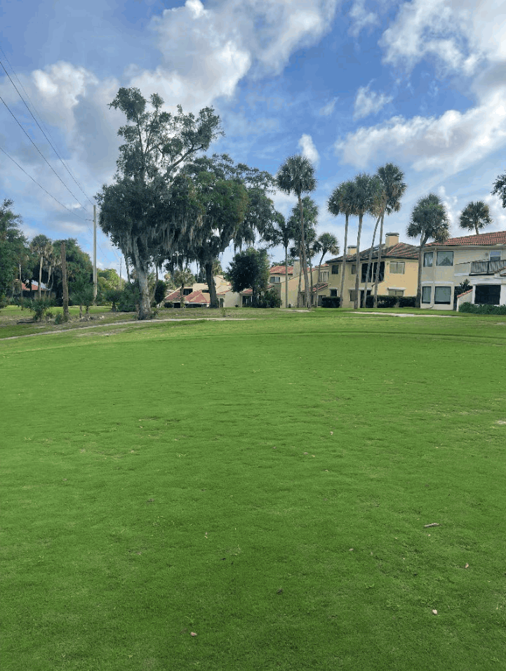La Cita Golf Course Renovation progress   07.27