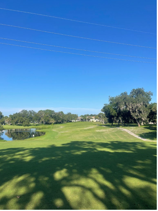 Course Renovation Progress September 8th