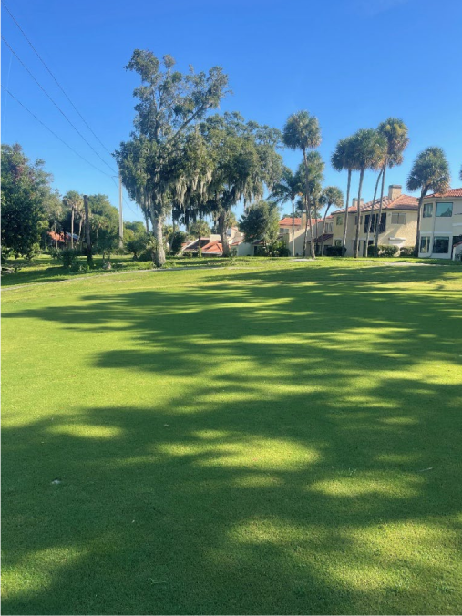 Course Renovation Progress September 8th