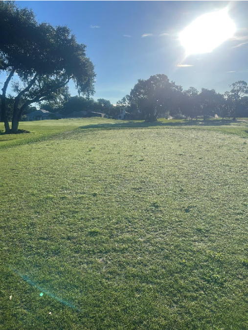 Course Renovation Progress  September 8th