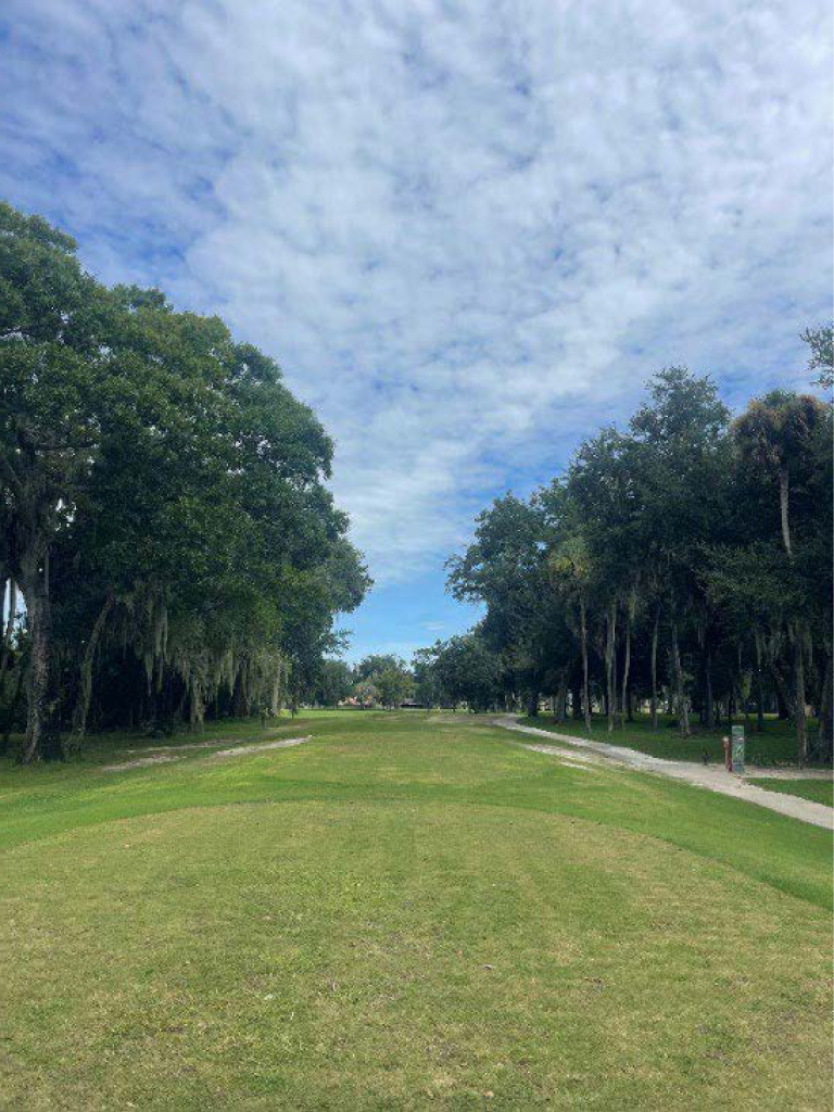 Lush green fairway on a golf course lined with mossy trees under a partly cloudy sky.