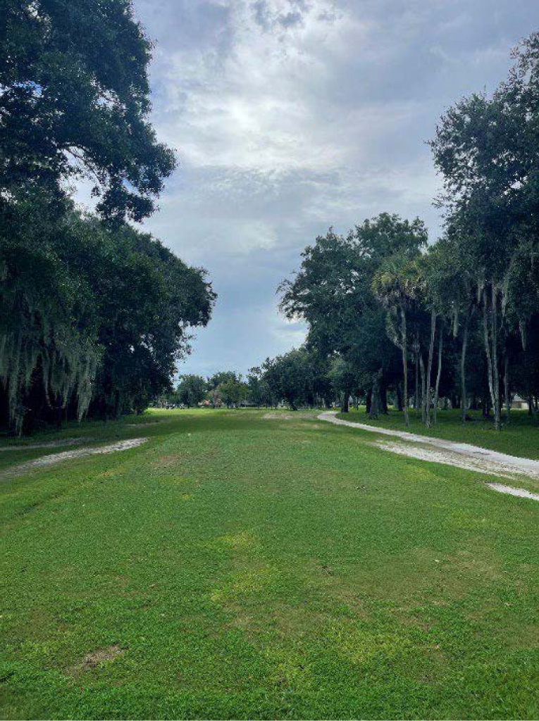 A long golf course fairway framed by mature trees and dirt paths under an overcast sky.