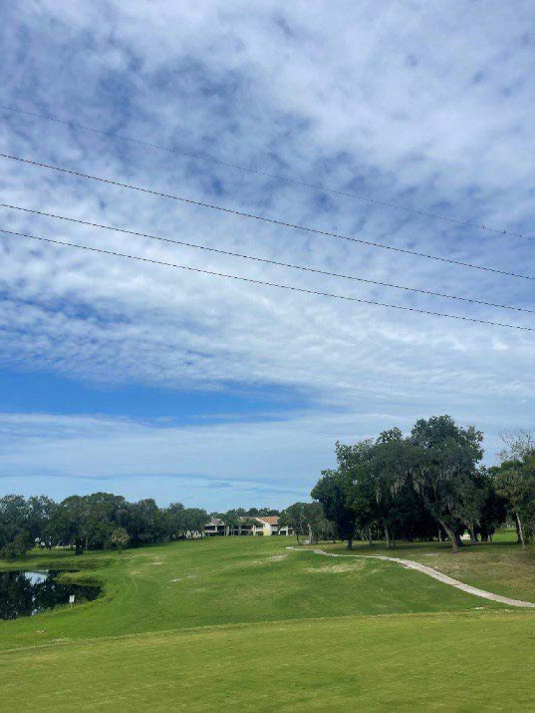 Wide view of a golf course green near a pond and houses under power lines and blue sky.