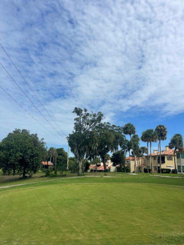 A golf course green facing palm trees and residential buildings under a bright sky.