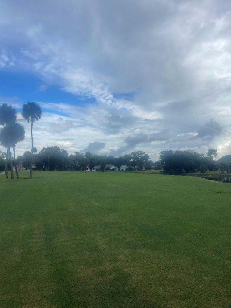Open lawn area on a golf course with palm trees and houses visible in the distance.